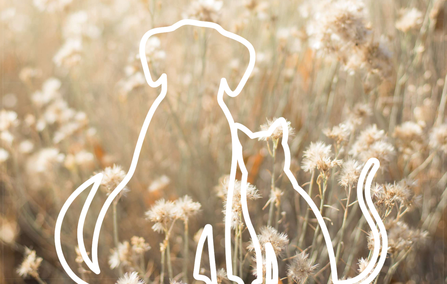 dog_cat_DHV dog_cat_DHV