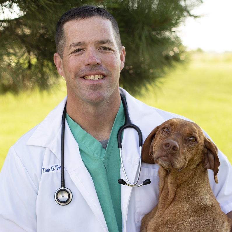 Tom-Taylor-DVM-2 Tom-Taylor-DVM-2